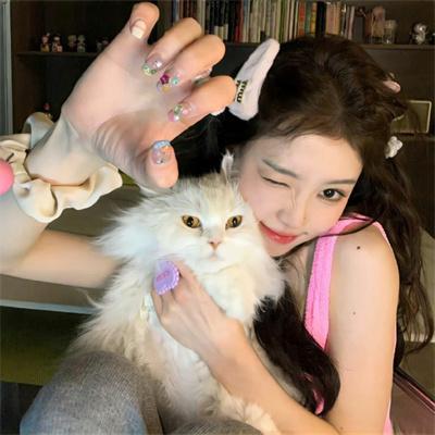 喜羊羊与灰太狼之守护